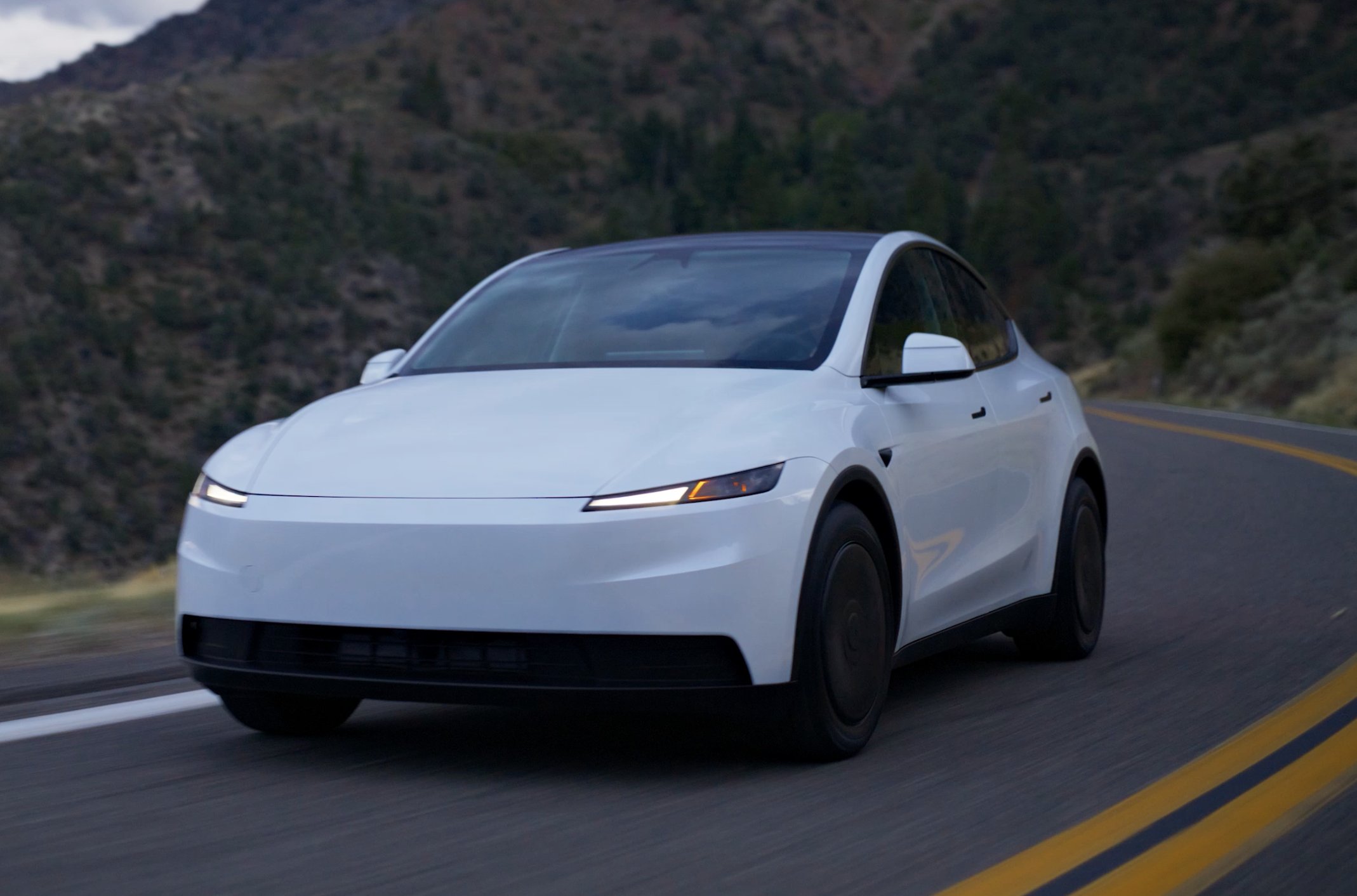 tesla model y standart